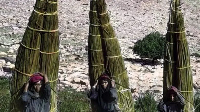 אוכלוסיות לא מוכרות