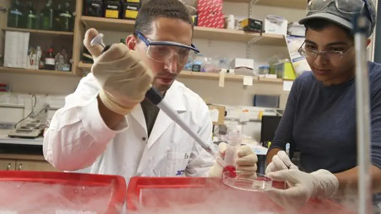 Cancer research (illustrative)
