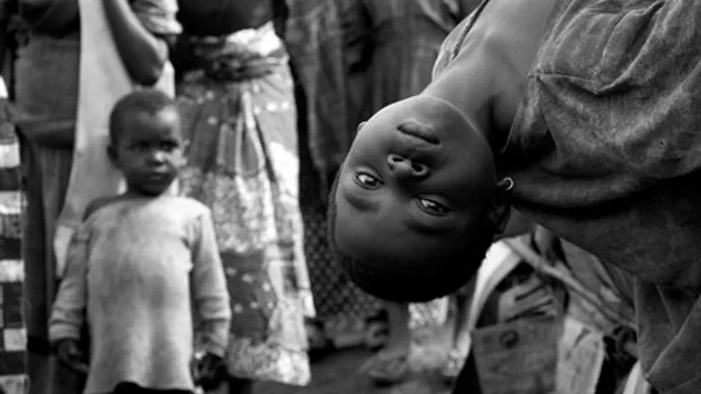 תערוכה קונגו