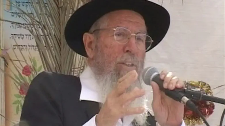 Рабби Исраэль Ариэль