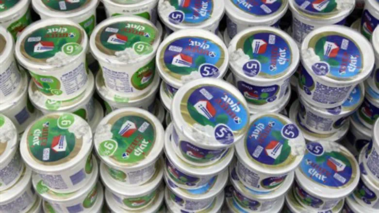 קוטג' תנובה