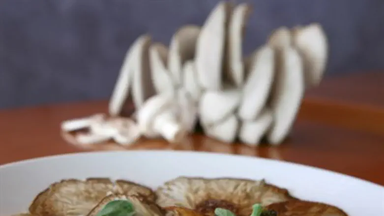 פטריות. תמיד טעימות.