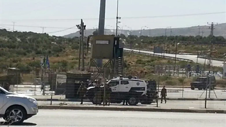 צומת תפוח, הבוקר