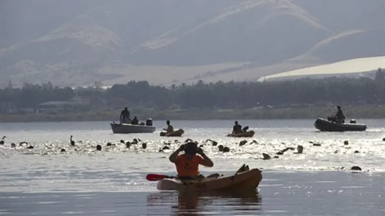צליחת הכנרת ה-5