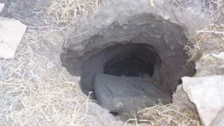 הבולען שנפער בחצר קבר דוד