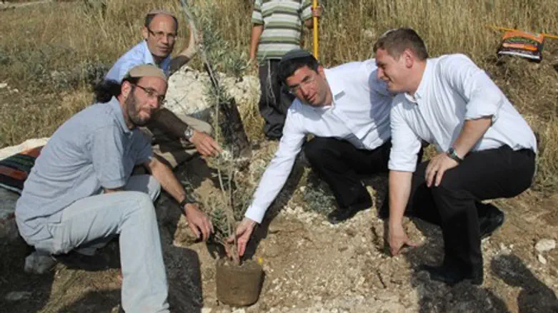 וורצמן בגוש עציון