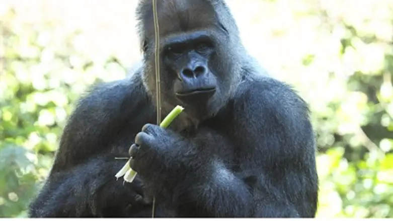 "That guy looks nothing like me...!"