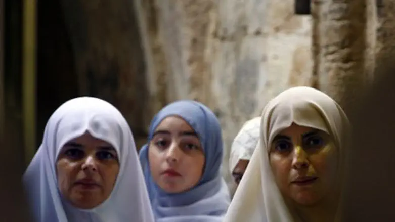 Egyptian women: now protected? (illustration)