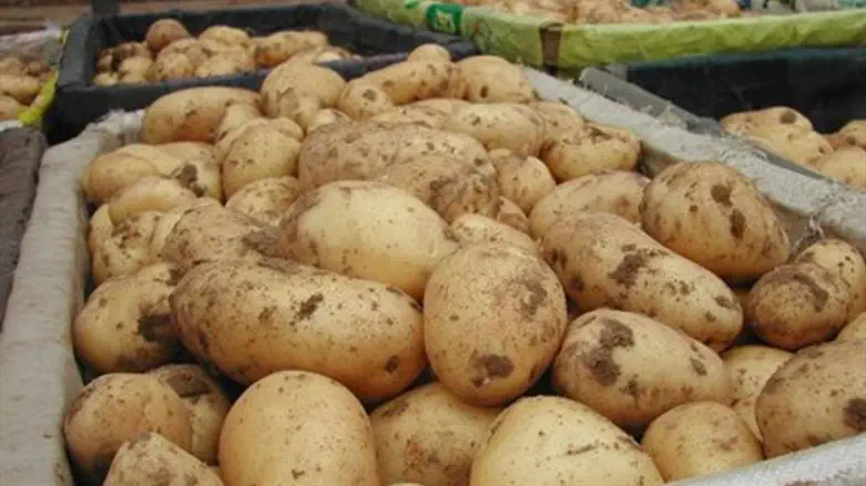 מיצאים לרוסיה