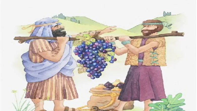 land of IsraelJoshua & Caleb 12 Spies