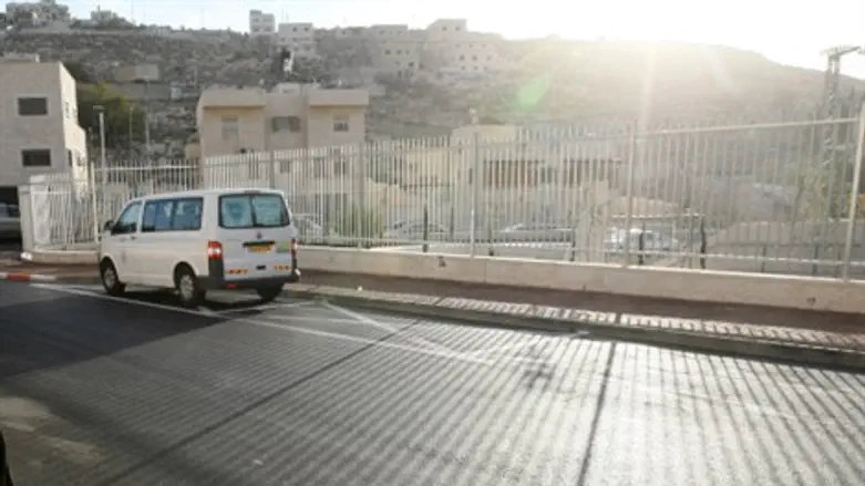 טובא זנגרייה