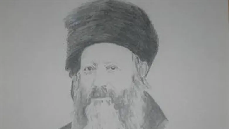 הרב קוק