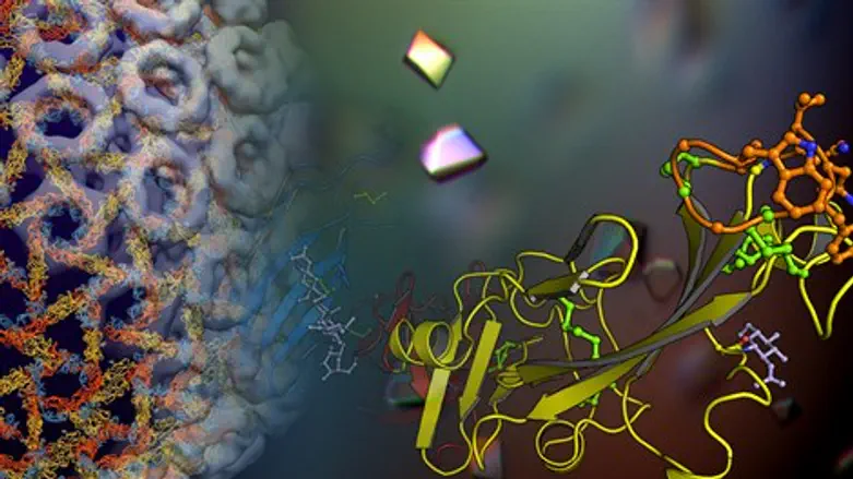 ד"ר משה דסאו