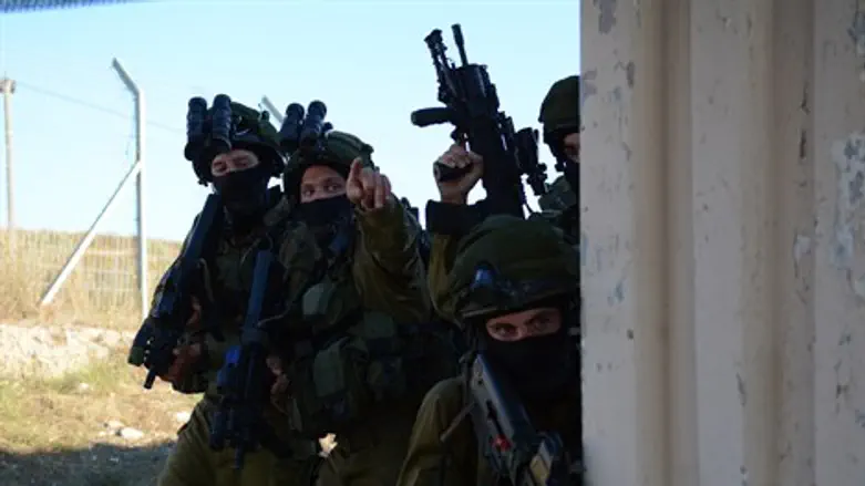 חיילי פלס"ר נח"ל