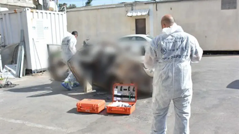 "שובו אחים": פעילות המז"פ