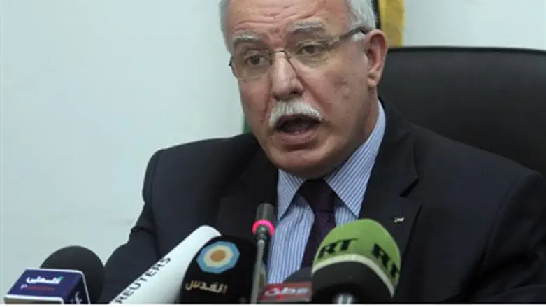 Riyad al-Malki