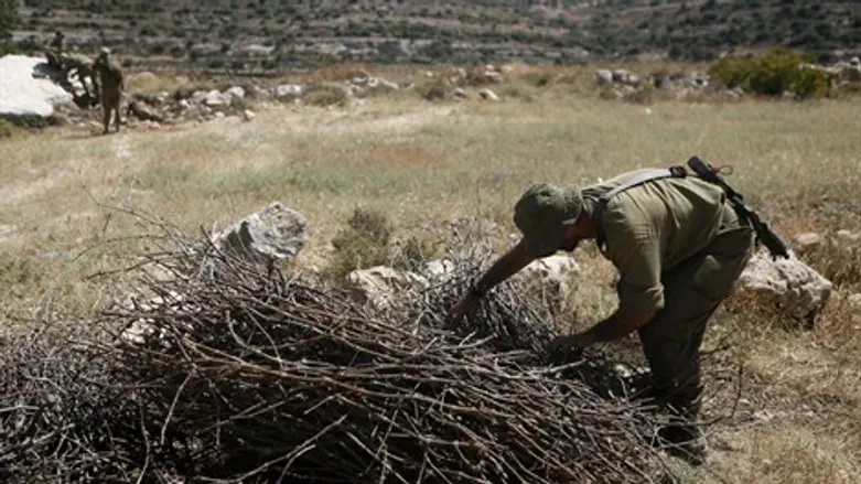 ממשיכים לסרוק