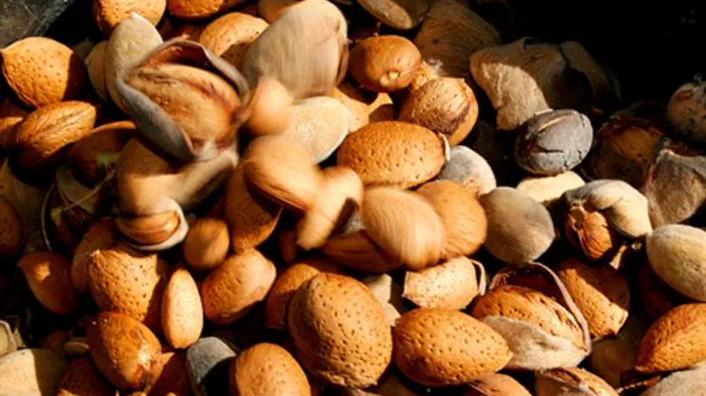 קל ובריא - שקדים