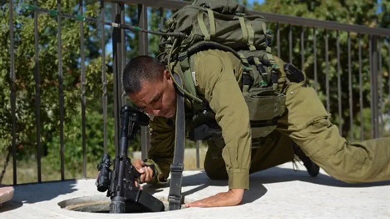 תרעננים ומממשיכים לסרוק