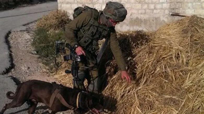 יחידת עוקץ מסייעת לחיפושים