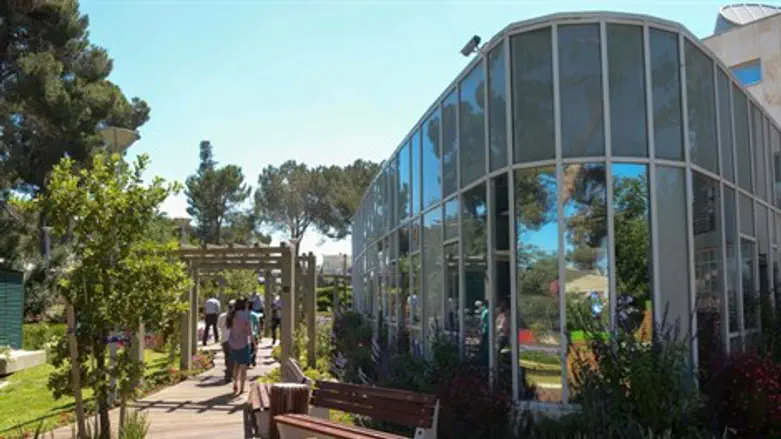 הגן הטיפולי בהדסה