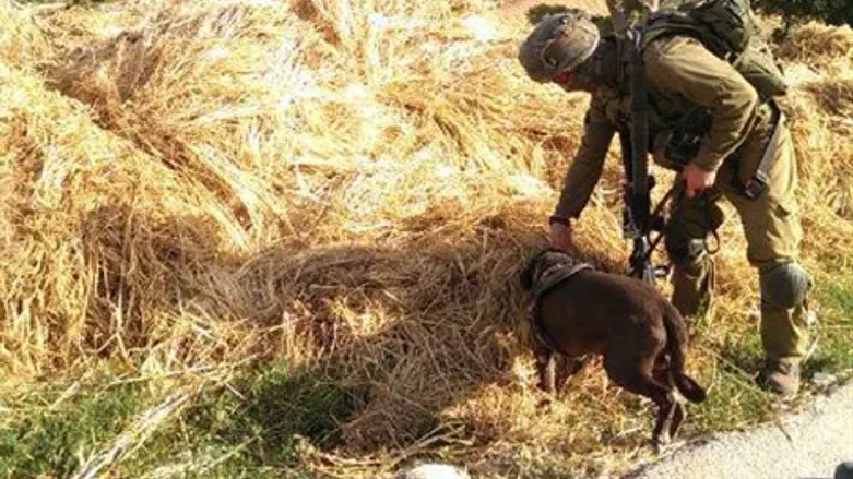 חיילי יחידת עוקץ