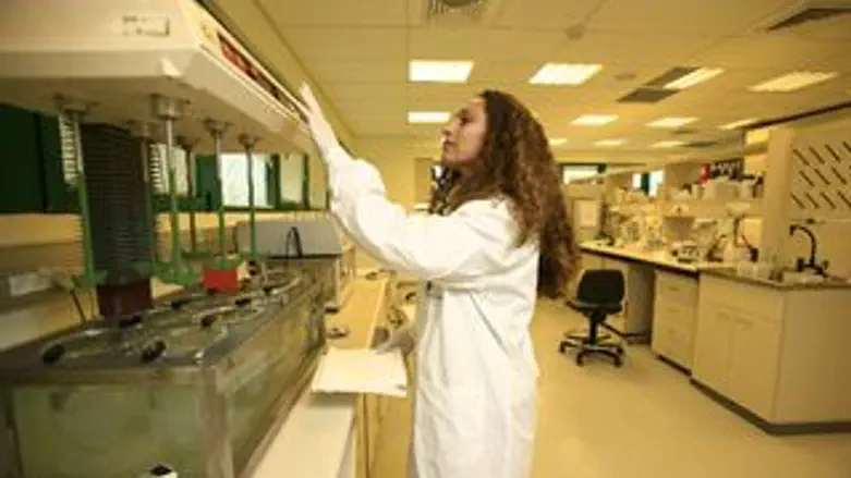 עוברים לאאוטסורסינג. עובדת הייטק