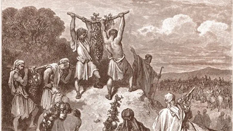 ימימה מזרחי