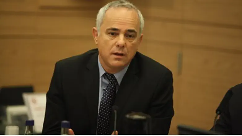 Minister Yuval Steinitz