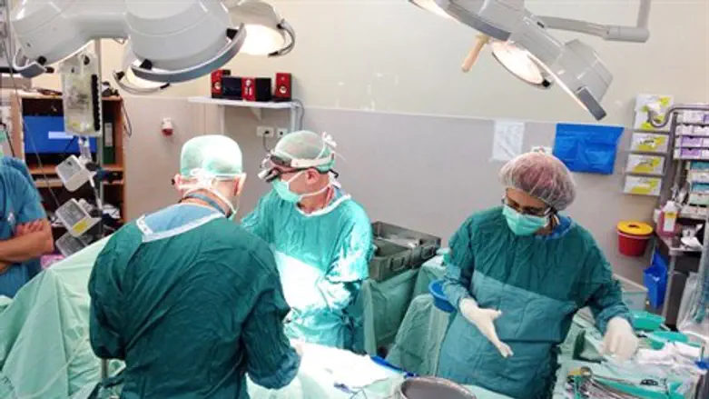 ממשיכים לטפל רמב"ם