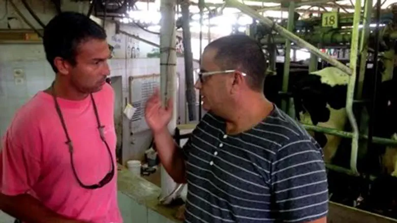 דותן (מימין) עם מנהל הרפת בזיקים