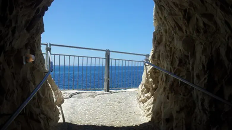 התיירים יחזרו