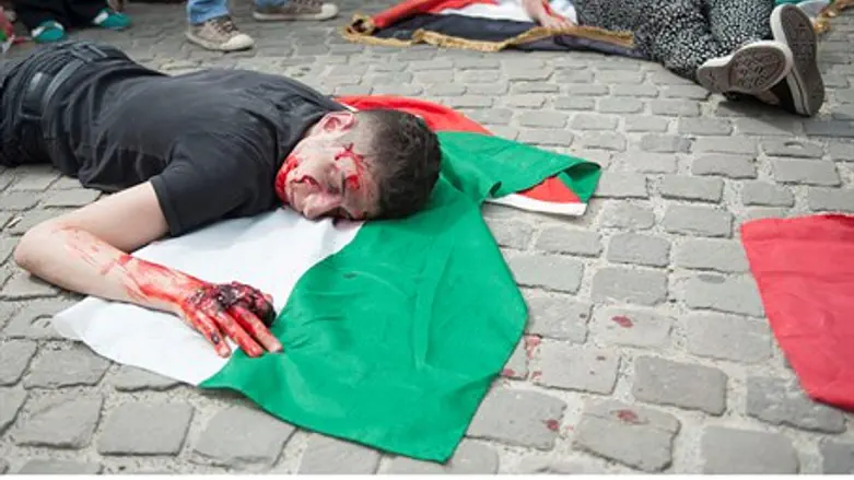 Palestinian supporters demonstrated in Brusse