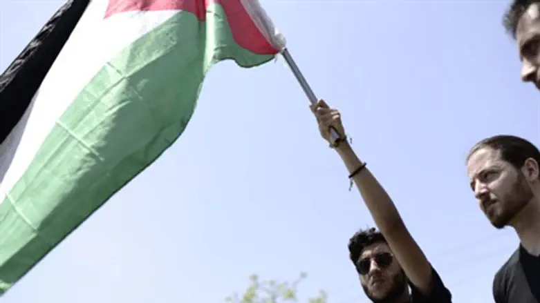 מפגינים פרו פלסטינים. ארכיון