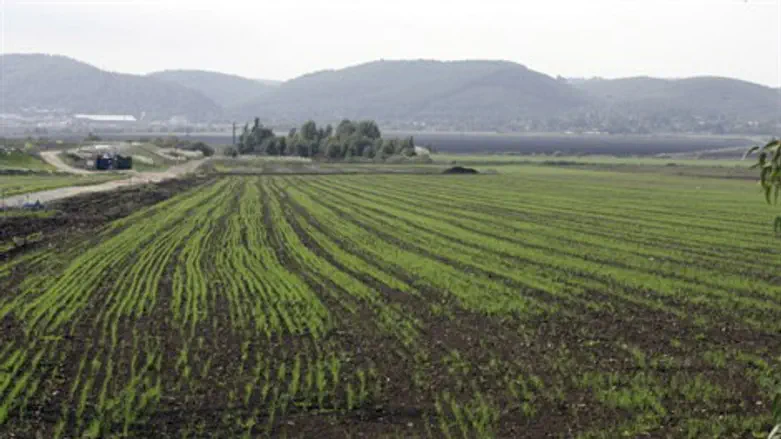 עידוד תמוה לחקלאות עברית
