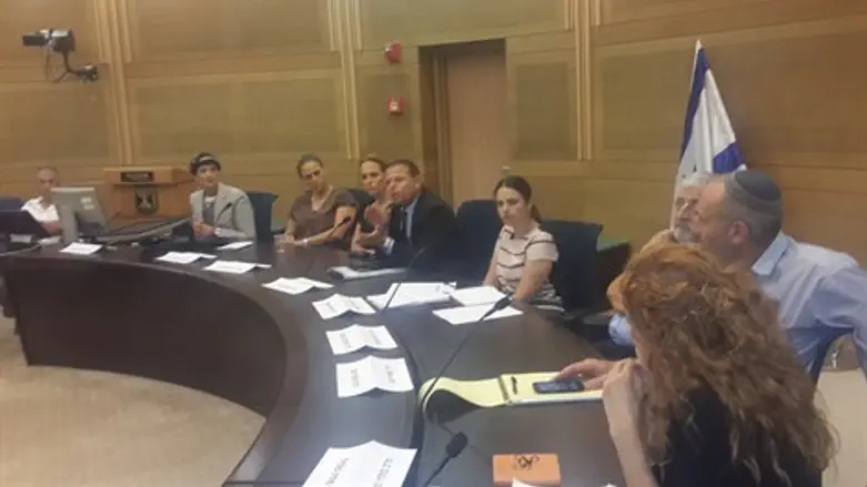 השדולה למען הספרות והסופרים