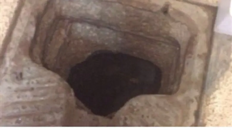 Toilet tunnel