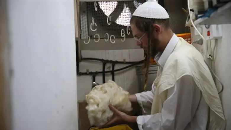הרב אברהן וואלעס הי"ד