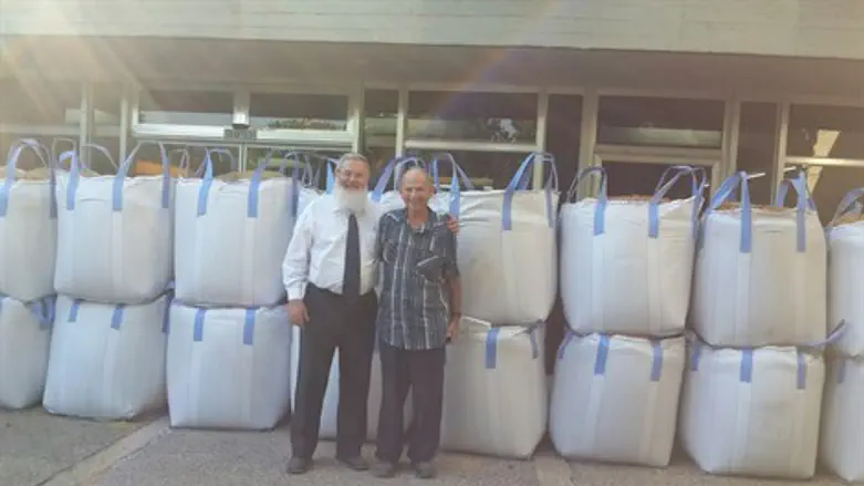 הצבת מיגוניות. ארכיון