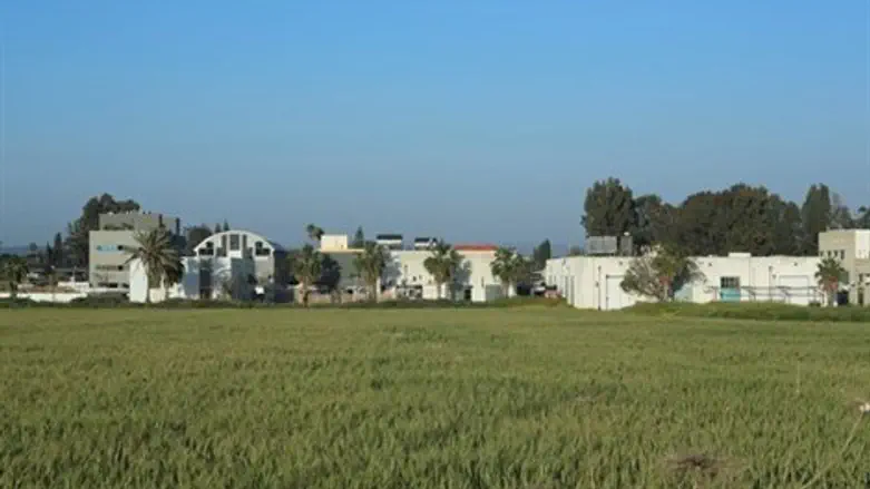 מתחם בינימינה