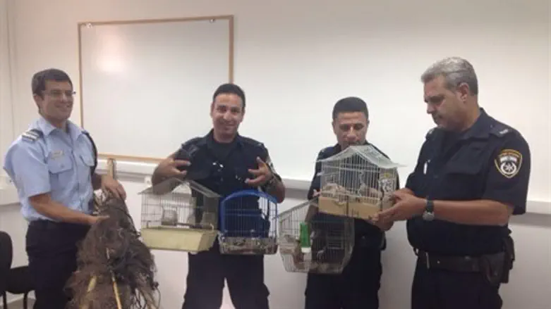 החוחיות והציוד