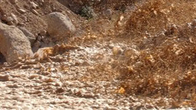 נחל ערוגות . ארכיון