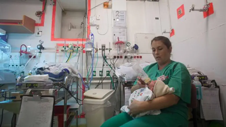 הפגייה בברזילי במרחב המוגן