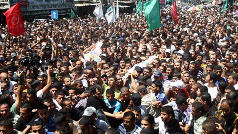 חוסל או לא. זו השאלה