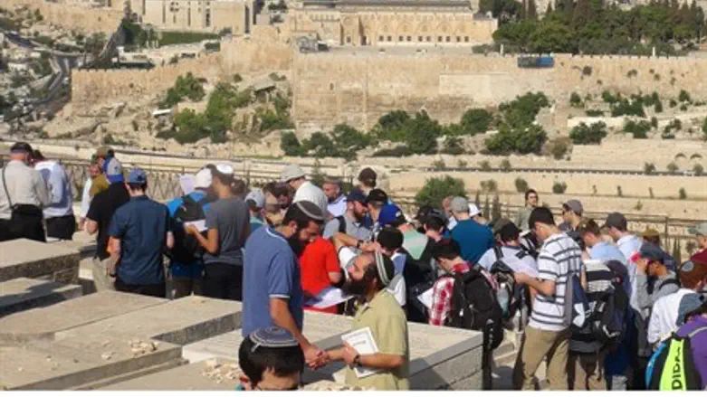 На могиле раввина Кука