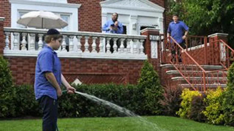 סביבה ירוקה. אילוסטרציה