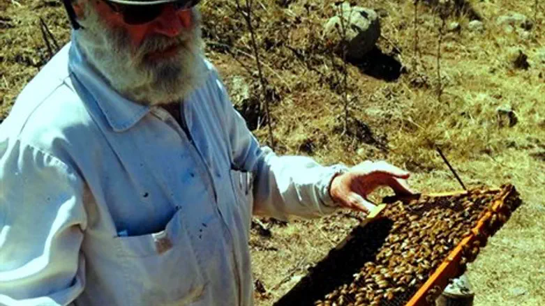 דבוראי ברמת הגולן