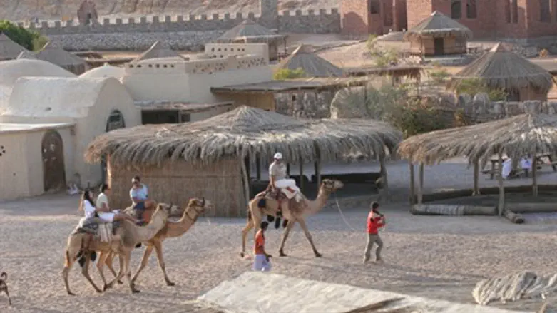 המצרים לא יוותרו על כלום. סיני