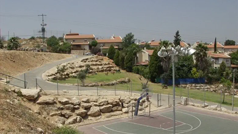 היישוב צופים