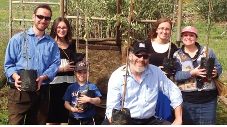 Planting fruit trees in place of rockets